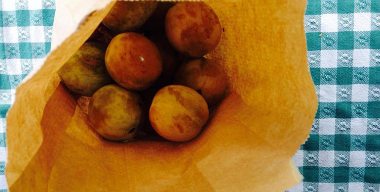 Bagofplums