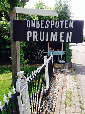 Pruimen-langsdekantvandeweg