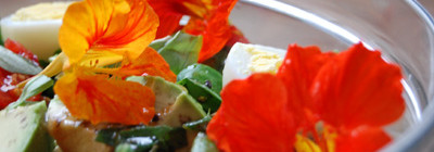 Eetbare bloemen