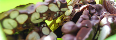 Chocoladebrokken