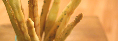 Soepstengels