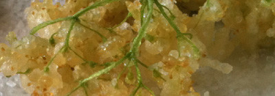 Vlierbloesemtempura