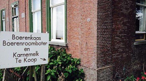 Zuivelboerderij Verdegaal - Oudendijk