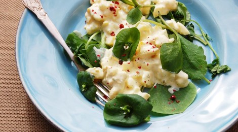 Eiersalade van ganzeneieren met postelein